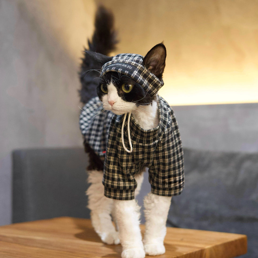Black & White Plaid Tee + Hat – Devon/Sphynx Cat Clothes