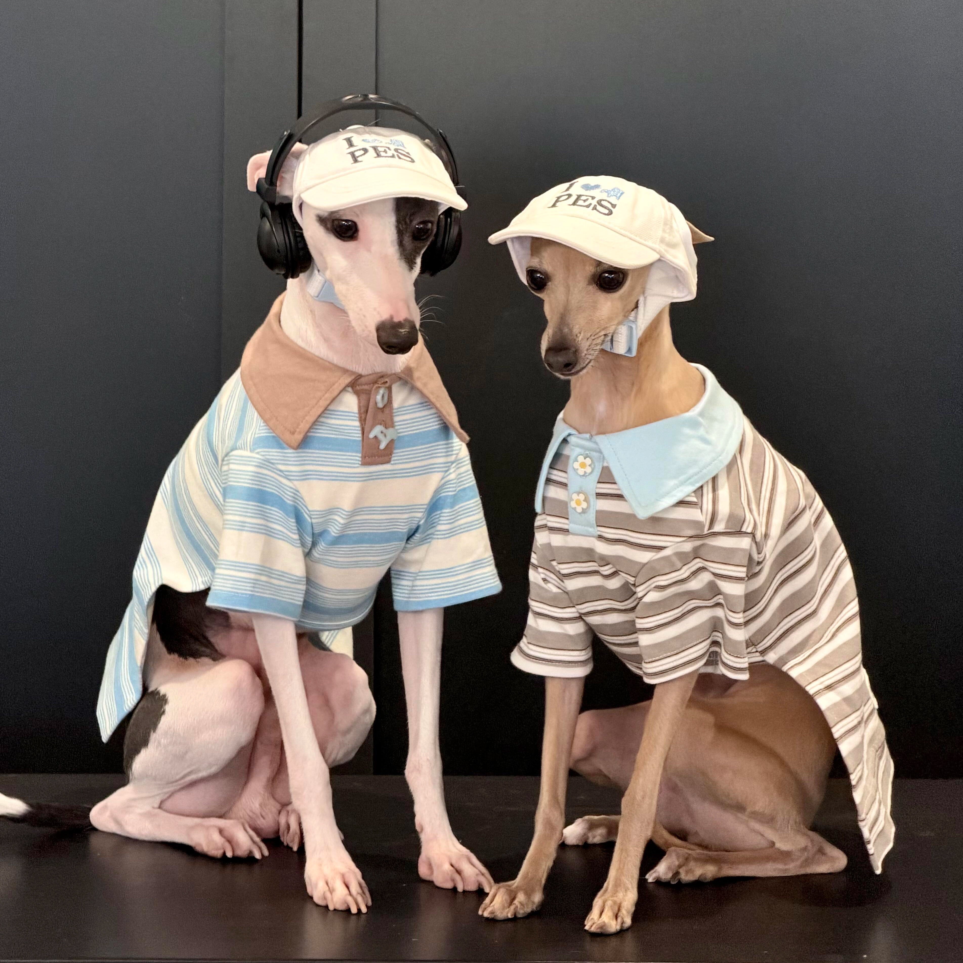 Striped Short-Sleeve Polo for Dogs, Cats & Sighthounds