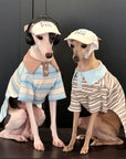 Sighthound Polo Shirt – Striped Cotton Tee for Whippets & Iggies