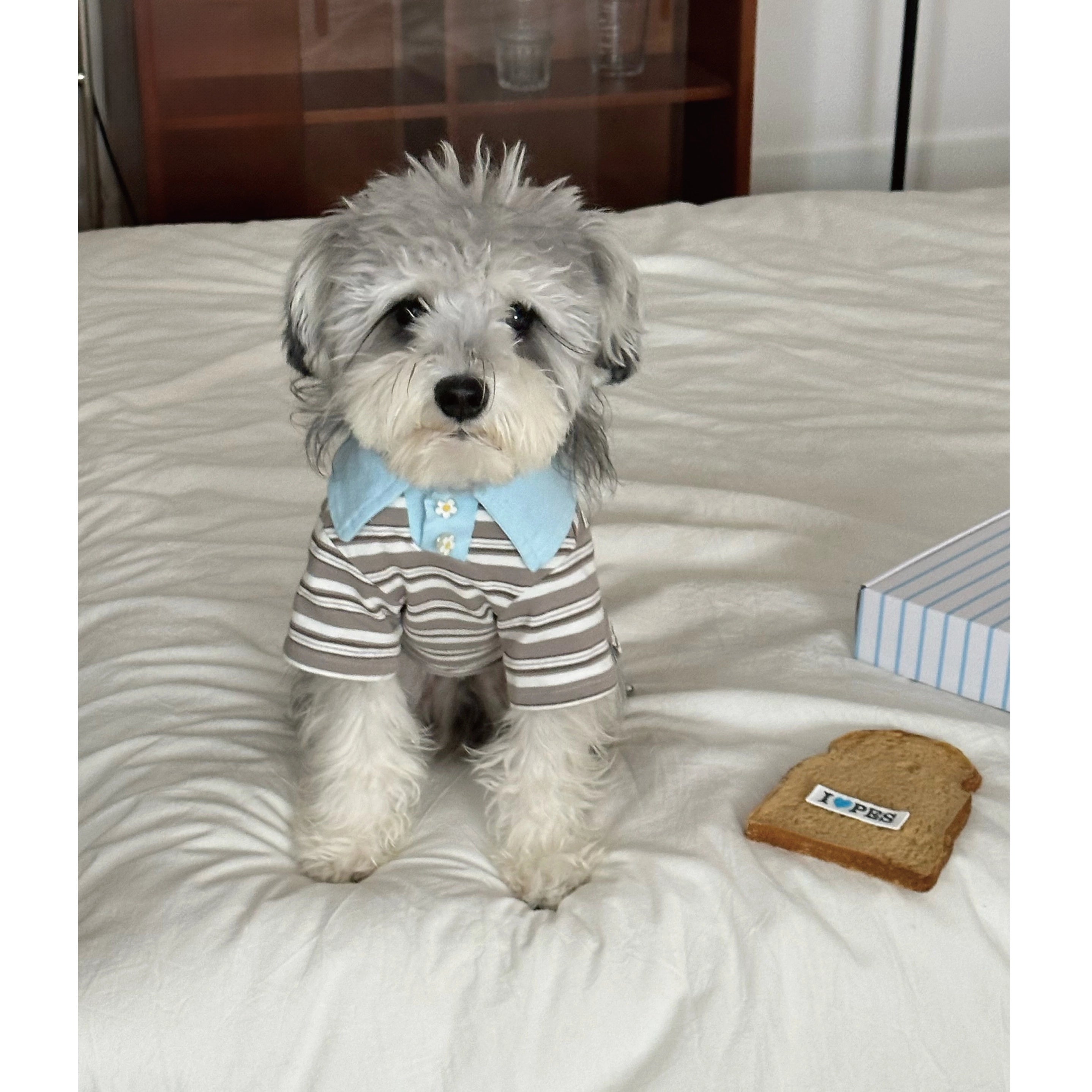Striped Short-Sleeve Polo for Dogs, Cats & Sighthounds