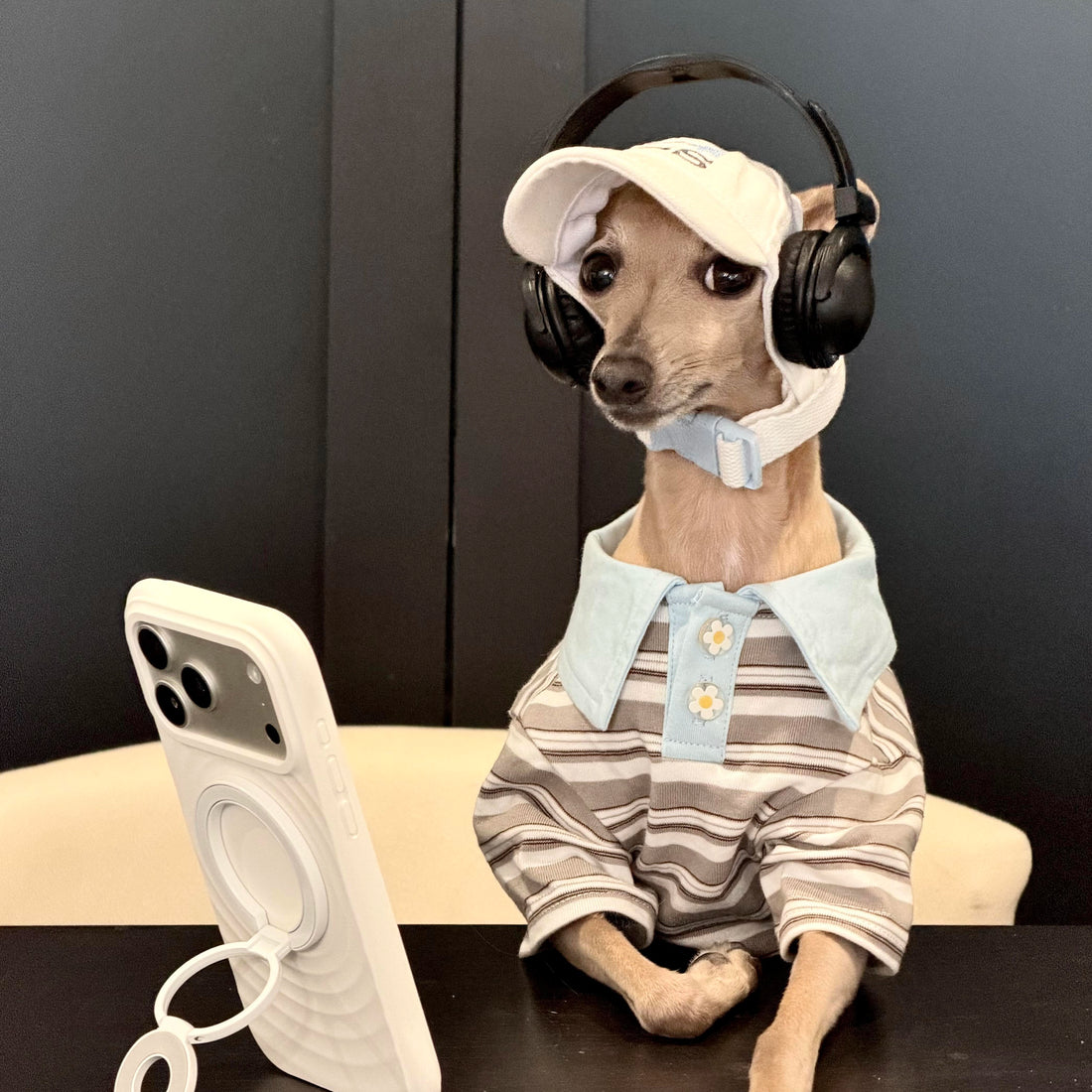 Striped Short-Sleeve Polo for Dogs, Cats & Sighthounds