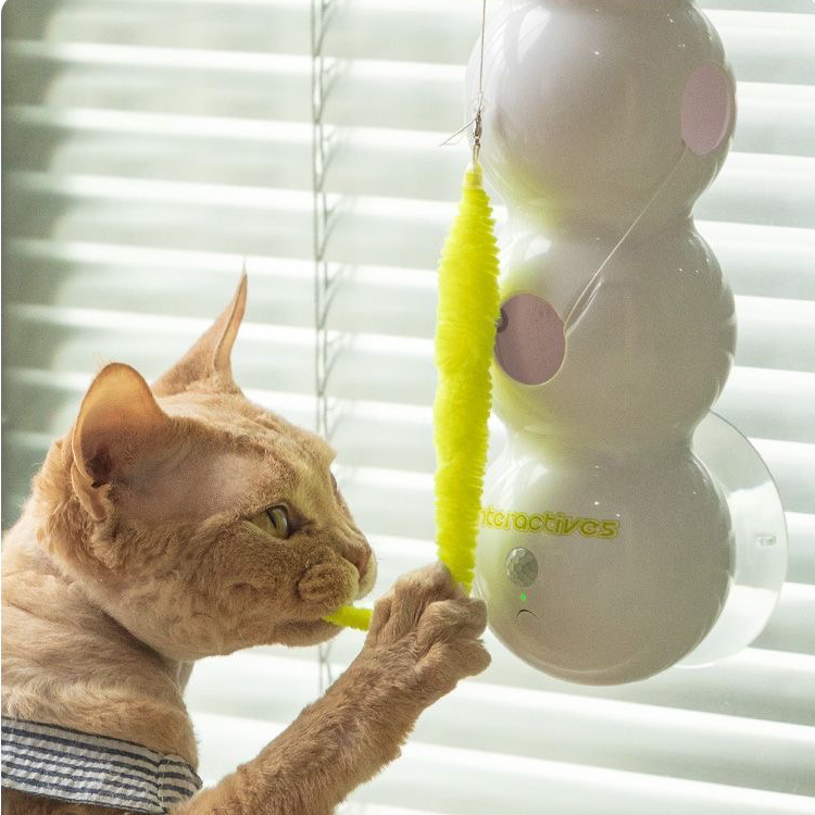 Caterpillar Smart Cat Toy