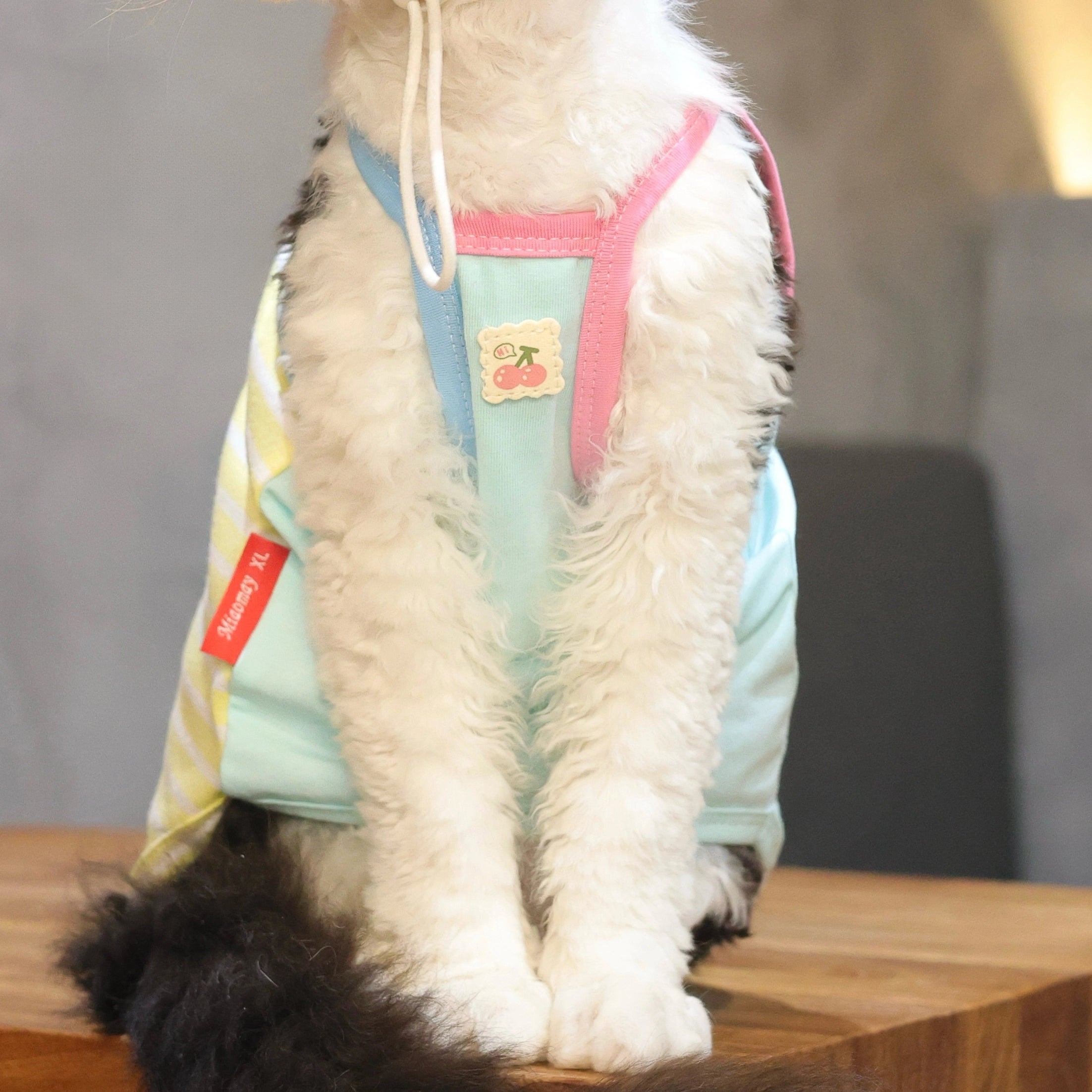 Cherry Tee + Hat DevonRex Sphynx Cat Clothes