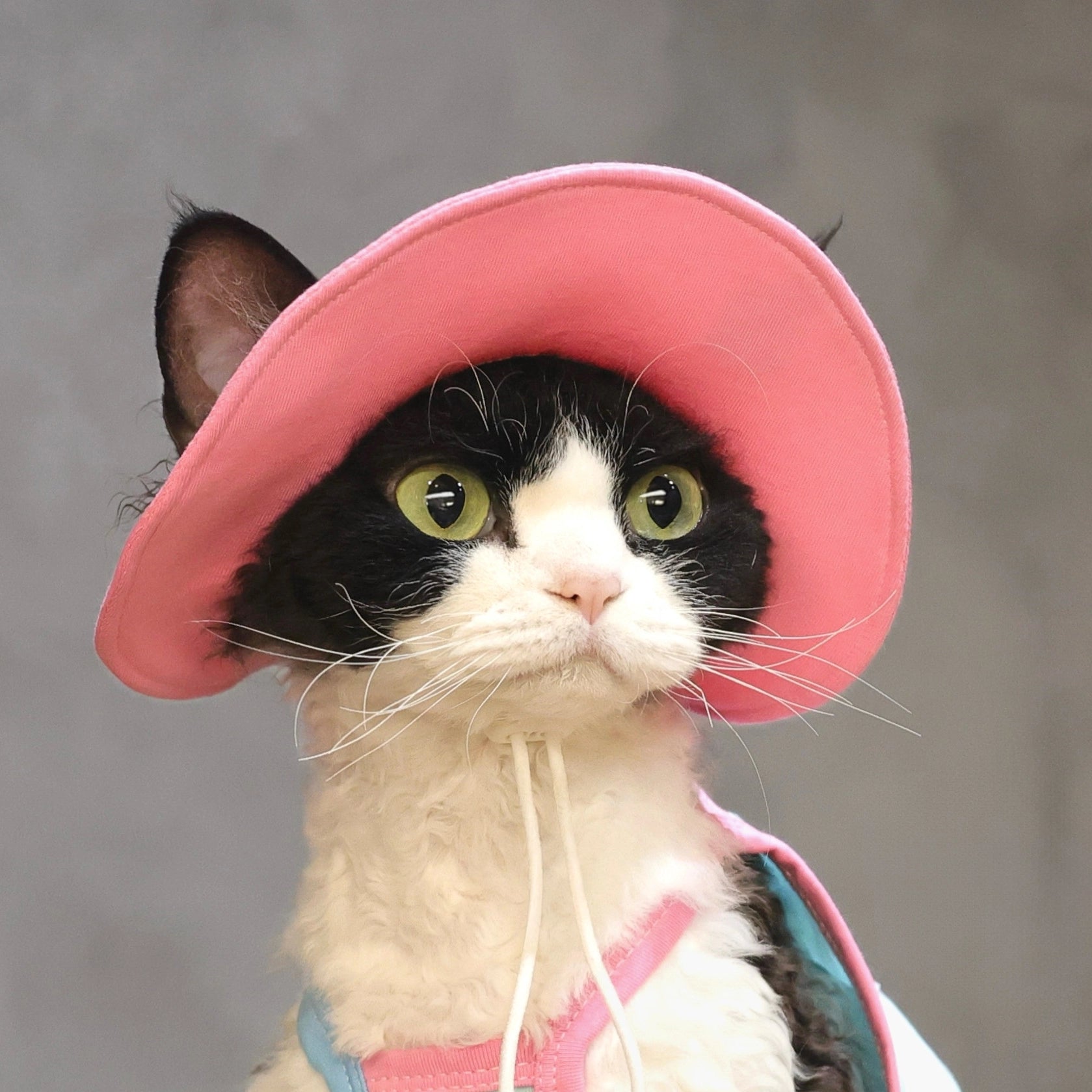 Cherry Tee + Hat DevonRex Sphynx Cat Clothes