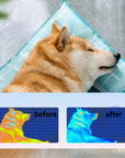 Chill Villa Pet Bed For Summer