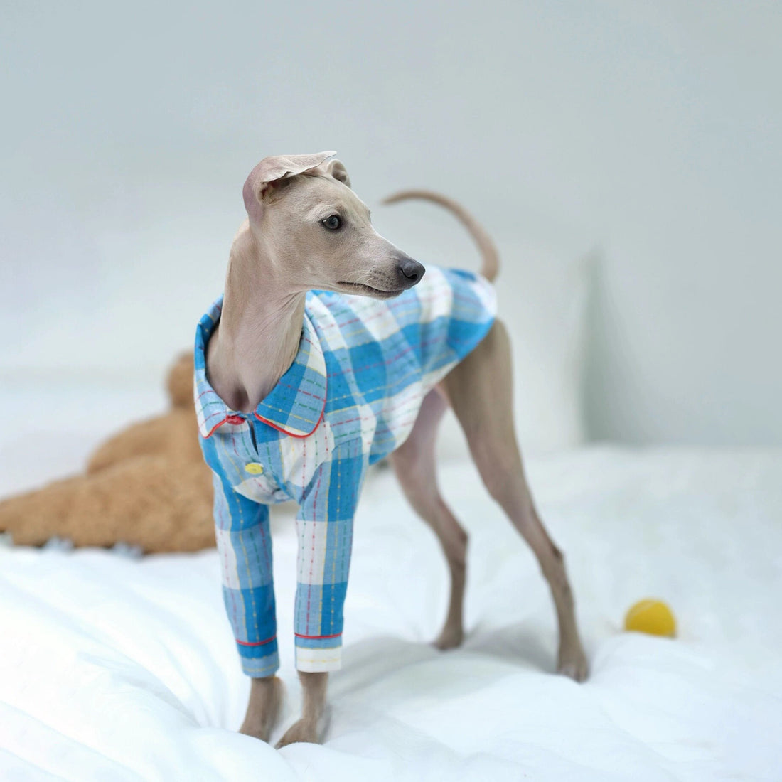 Cotton-Linen Plaid Pajamas for Greyhounds & Whippets