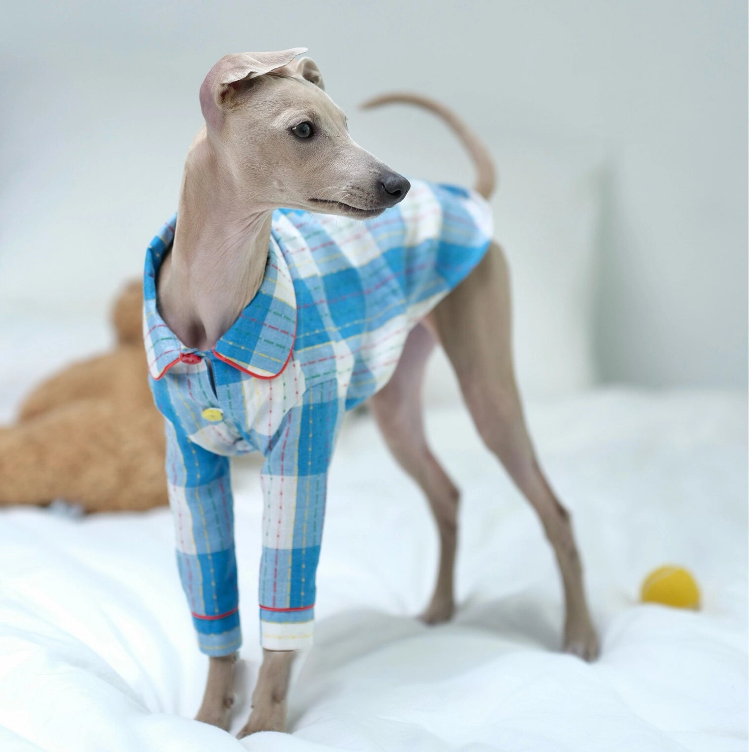 Cotton-Linen Plaid Pajamas for Greyhounds & Whippets