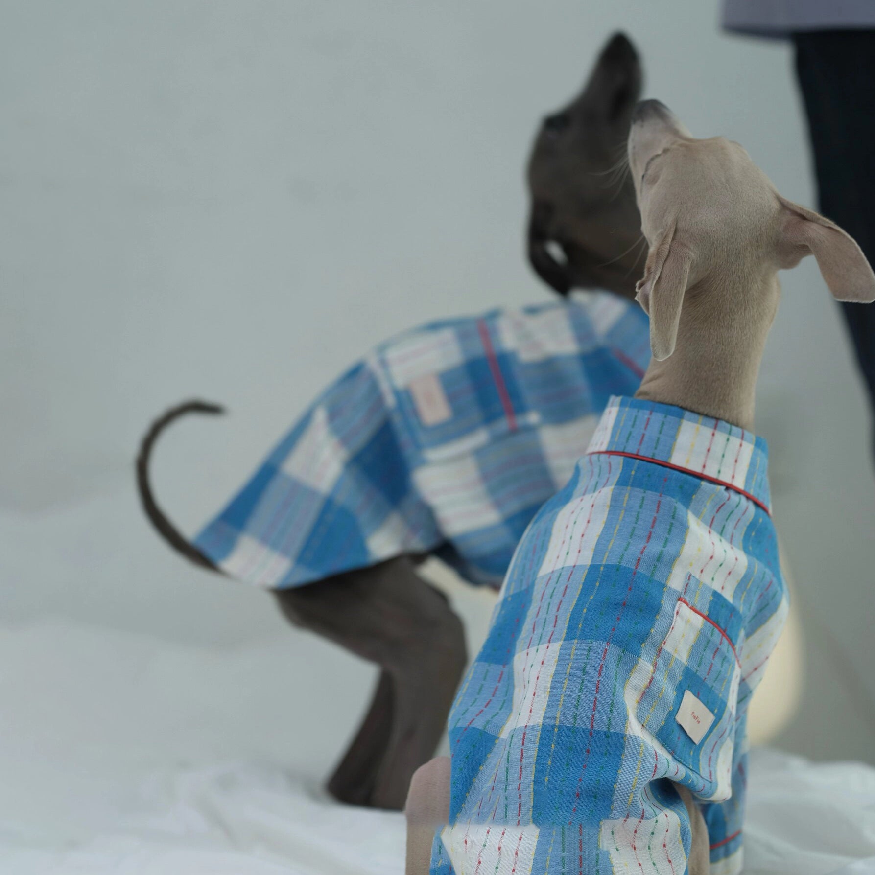 Cotton-Linen Plaid Pajamas for Greyhounds & Whippets