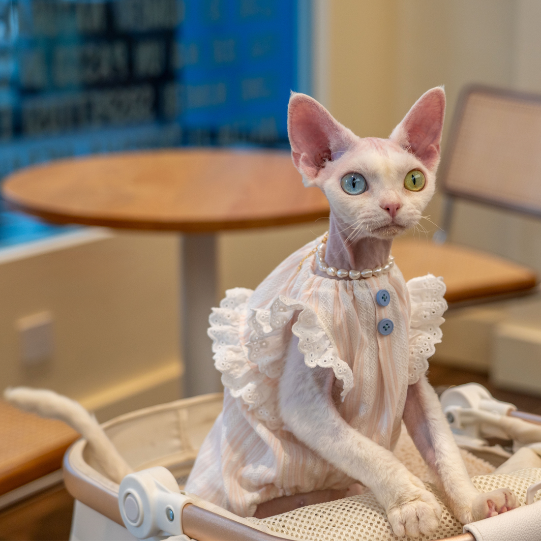 Cotton Dress- Striped & Lace Design Pink