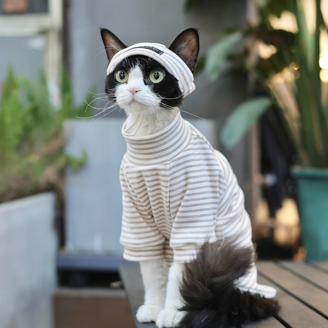 Cotton Stripe Turtleneck Shirt DevonRex Sphynx Cat Clothes