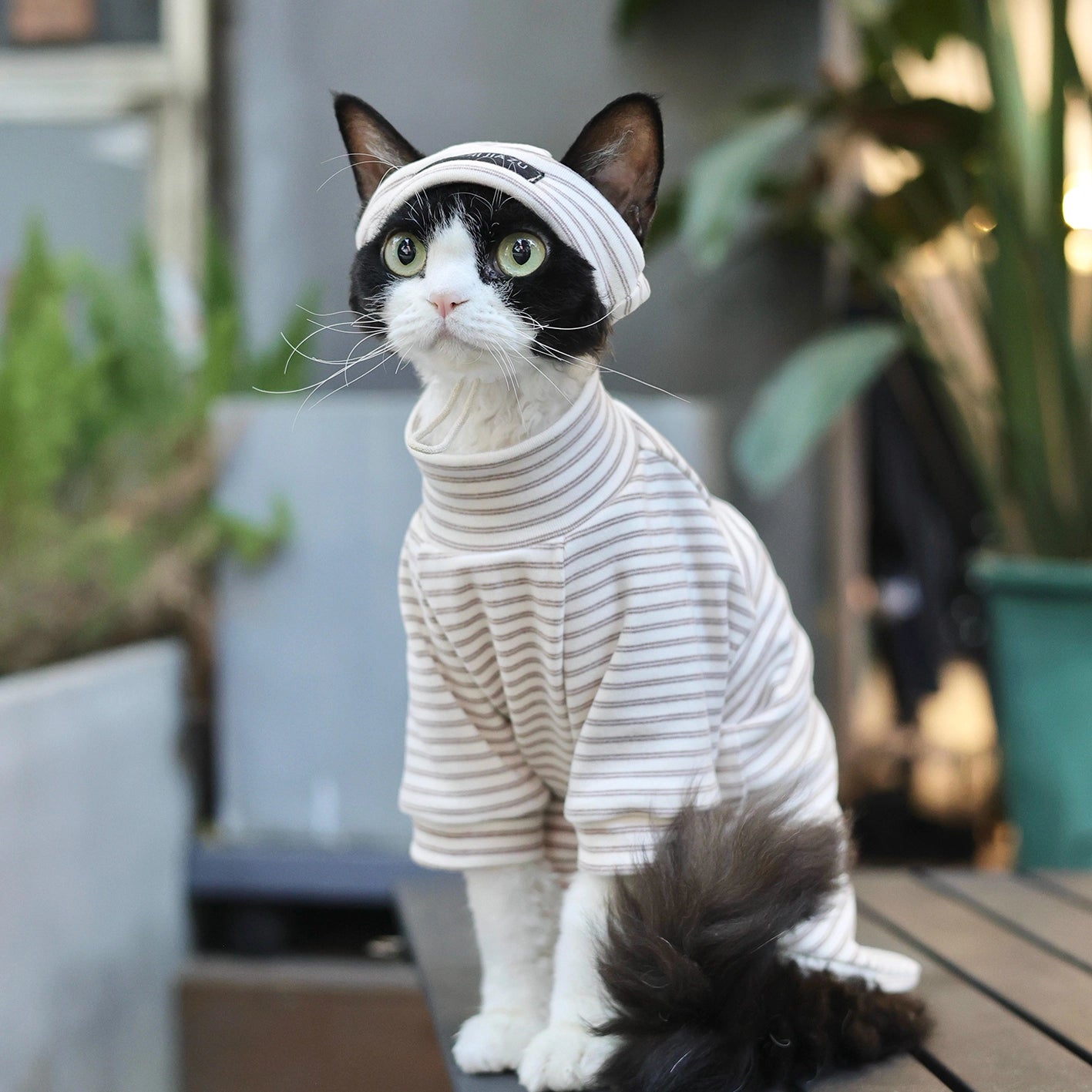 Cotton Stripe Turtleneck Shirt DevonRex Sphynx Cat Clothes