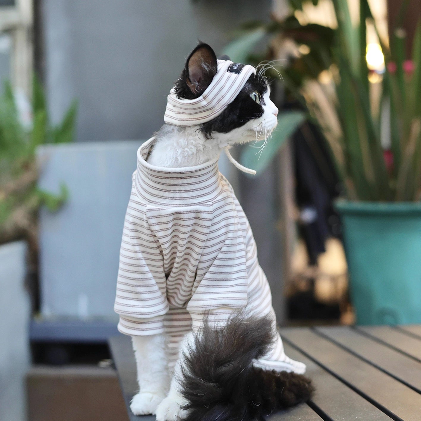 Cotton Stripe Turtleneck Shirt DevonRex Sphynx Cat Clothes