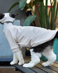 Sphynx Cat Turtleneck – Striped Cotton Base Layer (3 Colors)