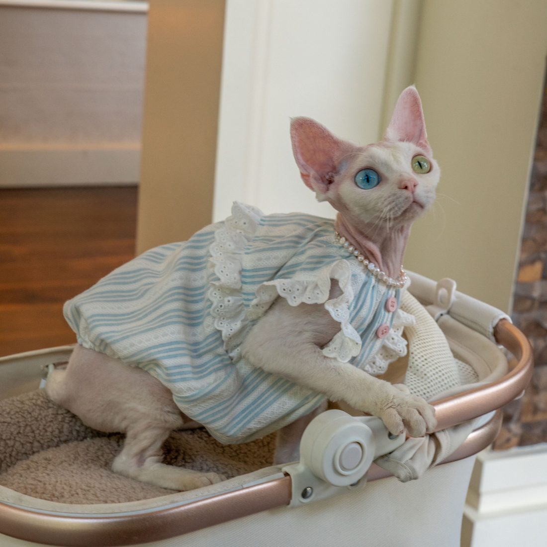 Cotton Dress- Striped & Lace Design