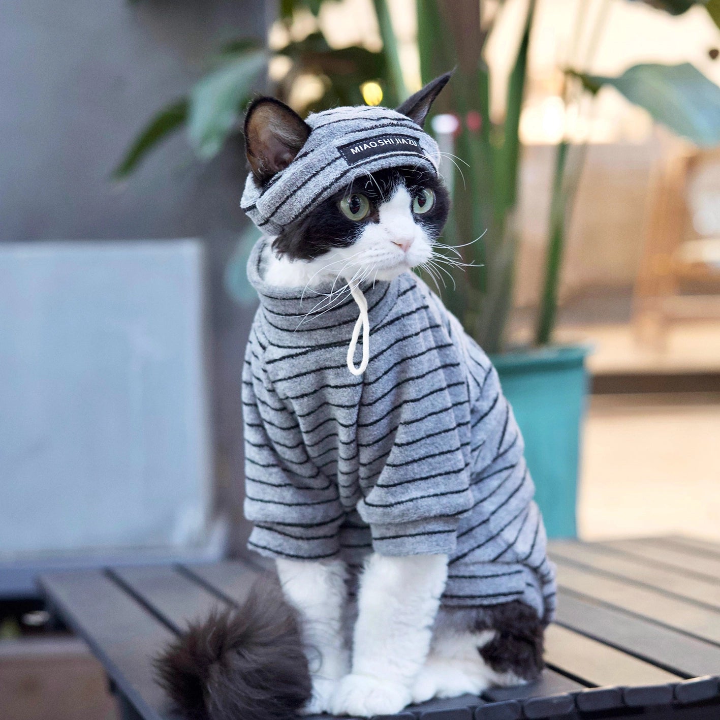Cotton Stripe Turtleneck Shirt DevonRex Sphynx Cat Clothes