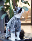 Sphynx Cat Turtleneck – Striped Cotton Base Layer (3 Colors)