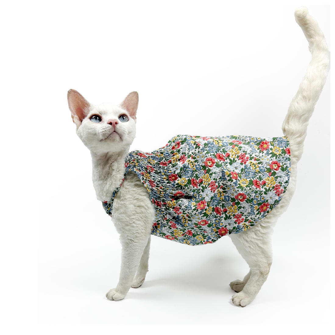 Cute Floral Sundress For Cats