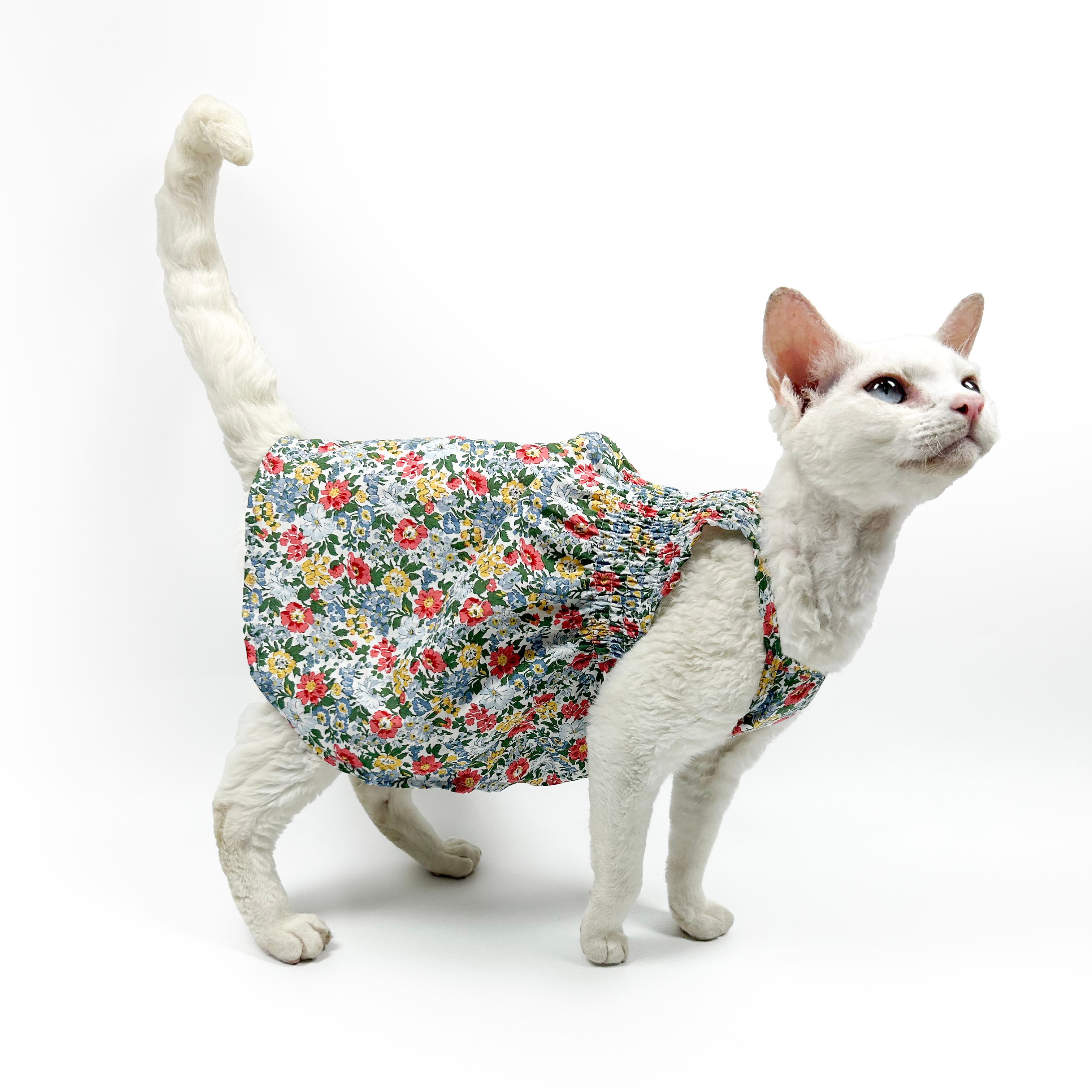Cute Floral Sundress For Cats