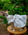 White Lace Dress for Hairless Cats Sphynx & Devon Rex