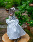 White Lace Dress for Hairless Cats Sphynx & Devon Rex