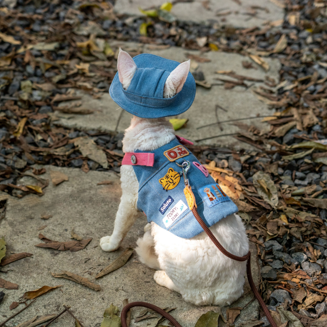 Denim Backpack Harness & Leash & Hat Set – Strawberry Edition