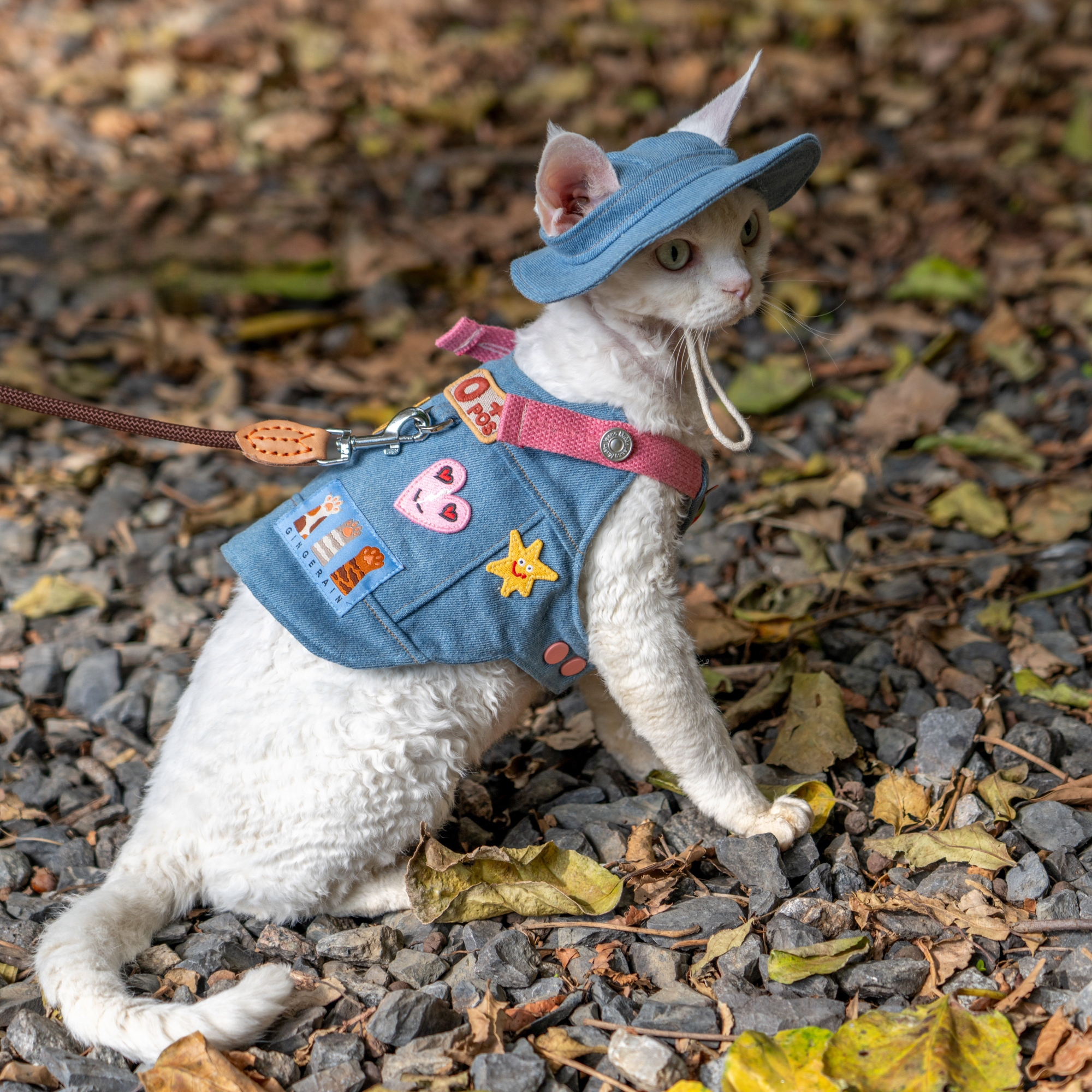 Denim Backpack Harness & Leash & Hat Set – Strawberry Edition