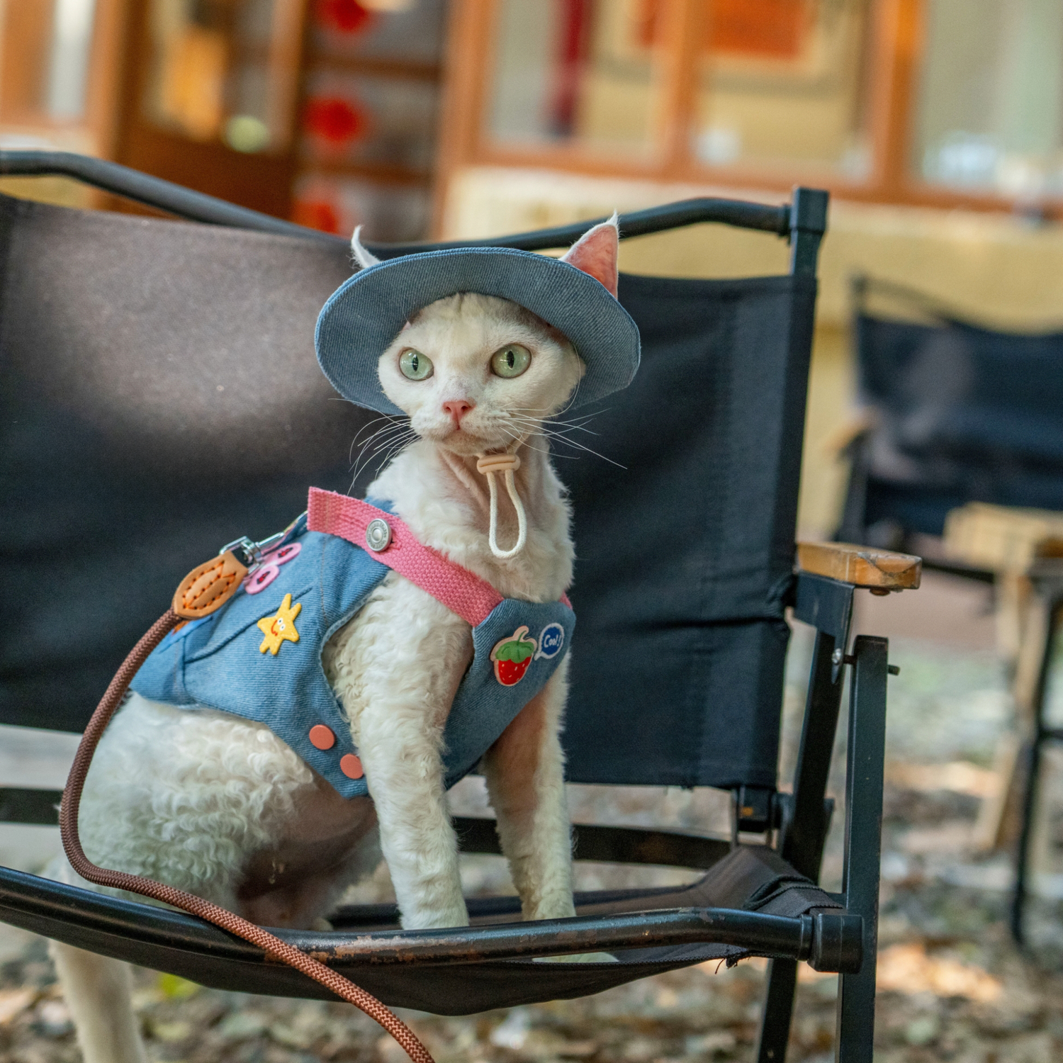 Denim Backpack Harness & Leash & Hat Set – Strawberry Edition