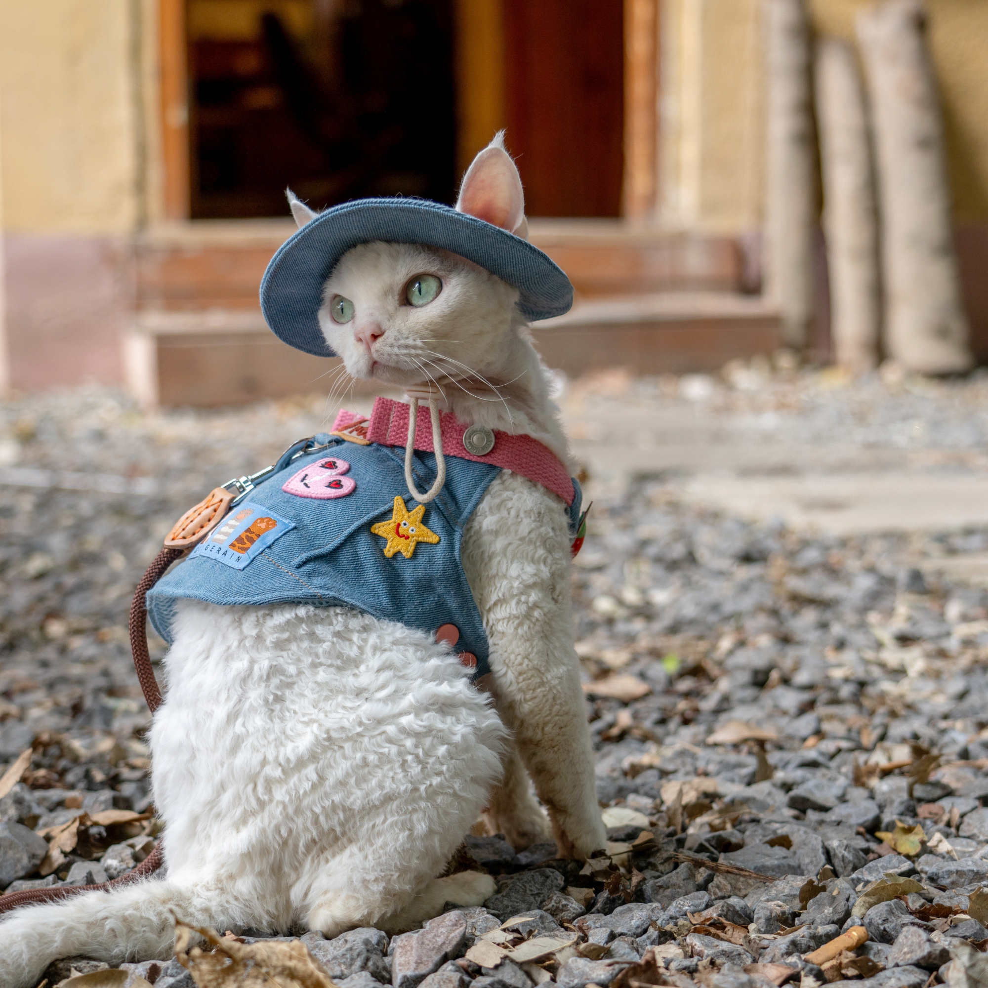 Denim Backpack Harness & Leash & Hat Set – Strawberry Edition