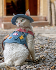 Cat Harness Backpack Set – Strawberry Denim (Harness, Leash & Hat)