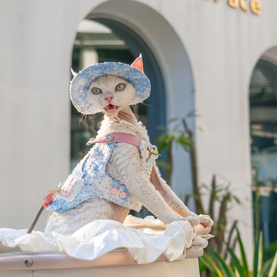 Denim Beaded Harness & Leash & Hat Set