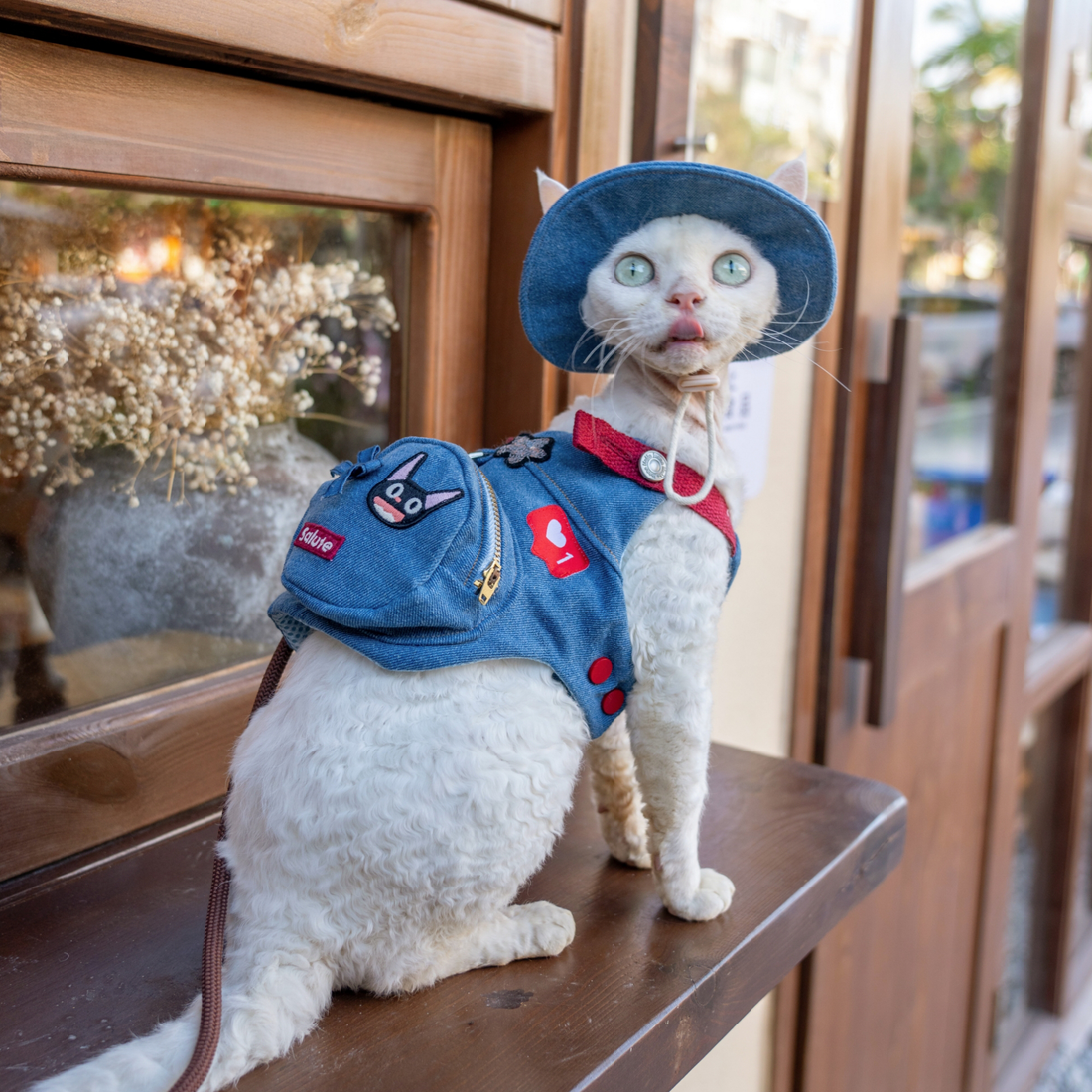 Denim Blue Patches Harness & Leash & Hat Set