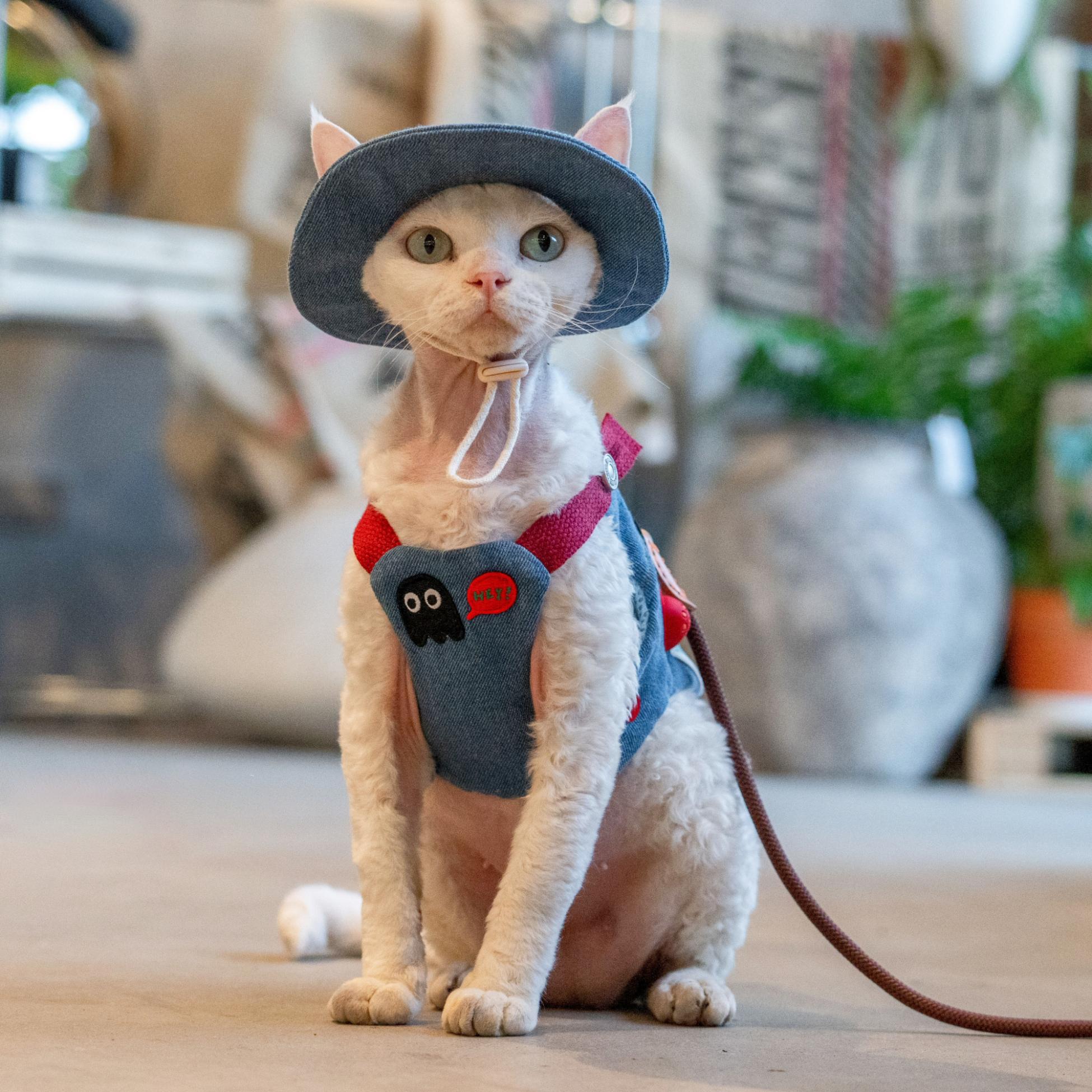 Denim Blue Patches Harness & Leash & Hat Set