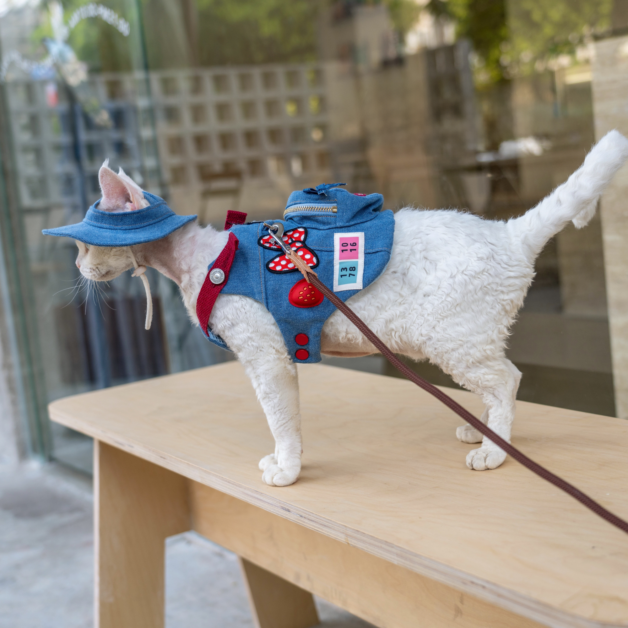 Denim Blue Patches Harness & Leash & Hat Set