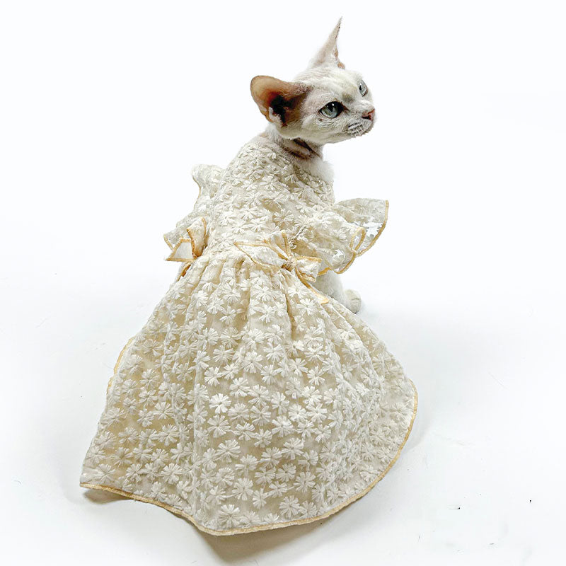 Embroidery Lace Cat Dress White