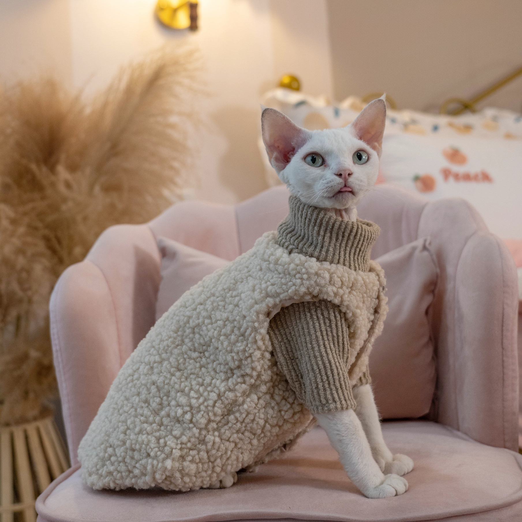 Fleece Aviator Vest Set for SphynxCat DevonRex