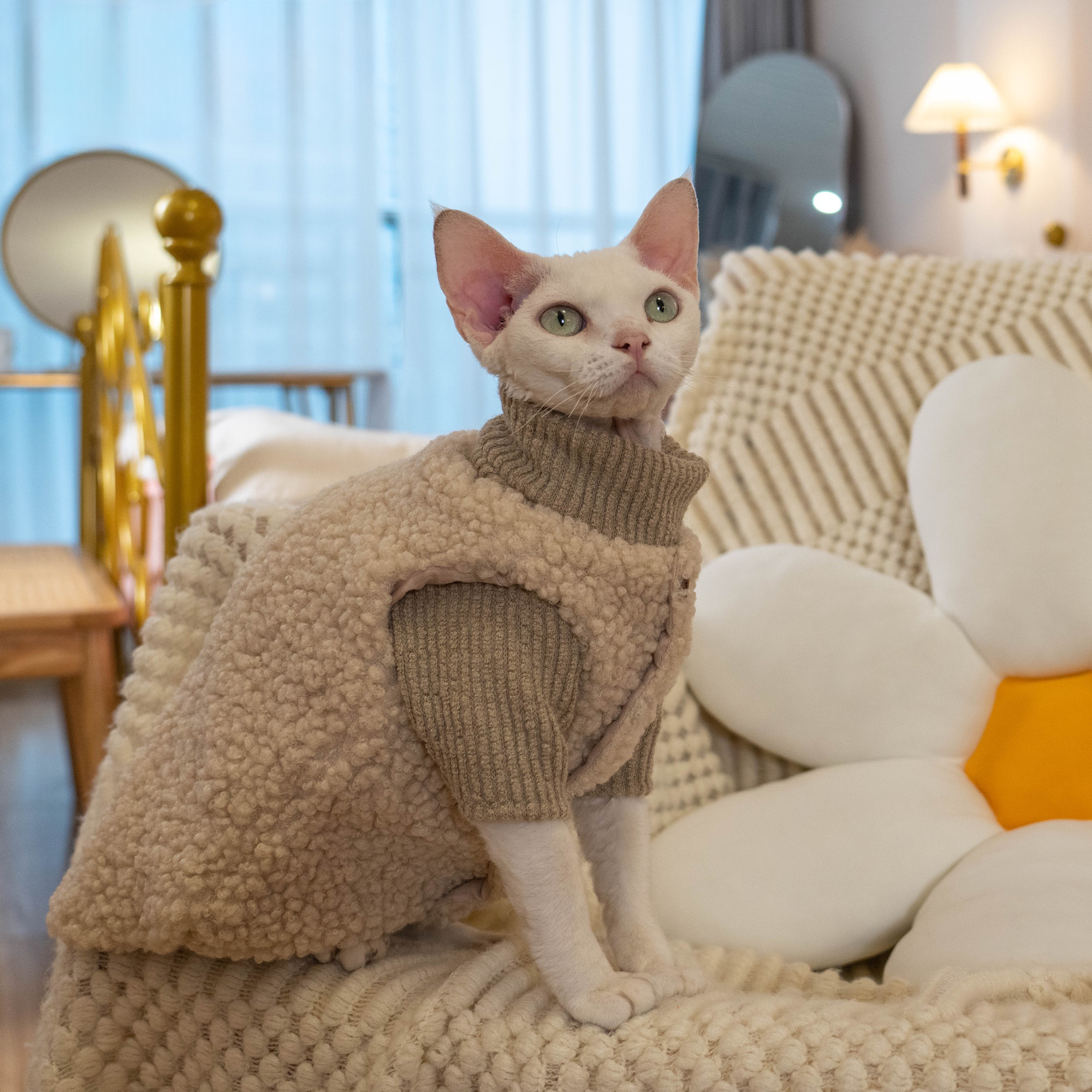 Fleece Aviator Vest Set for SphynxCat DevonRex