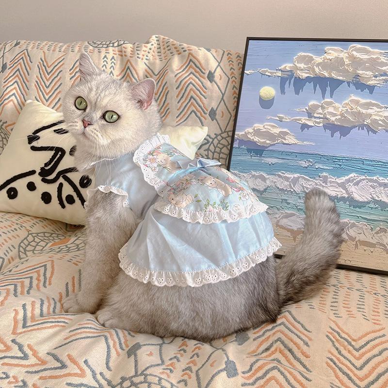 Floral Lace Maid Dress for Cats & Dogs