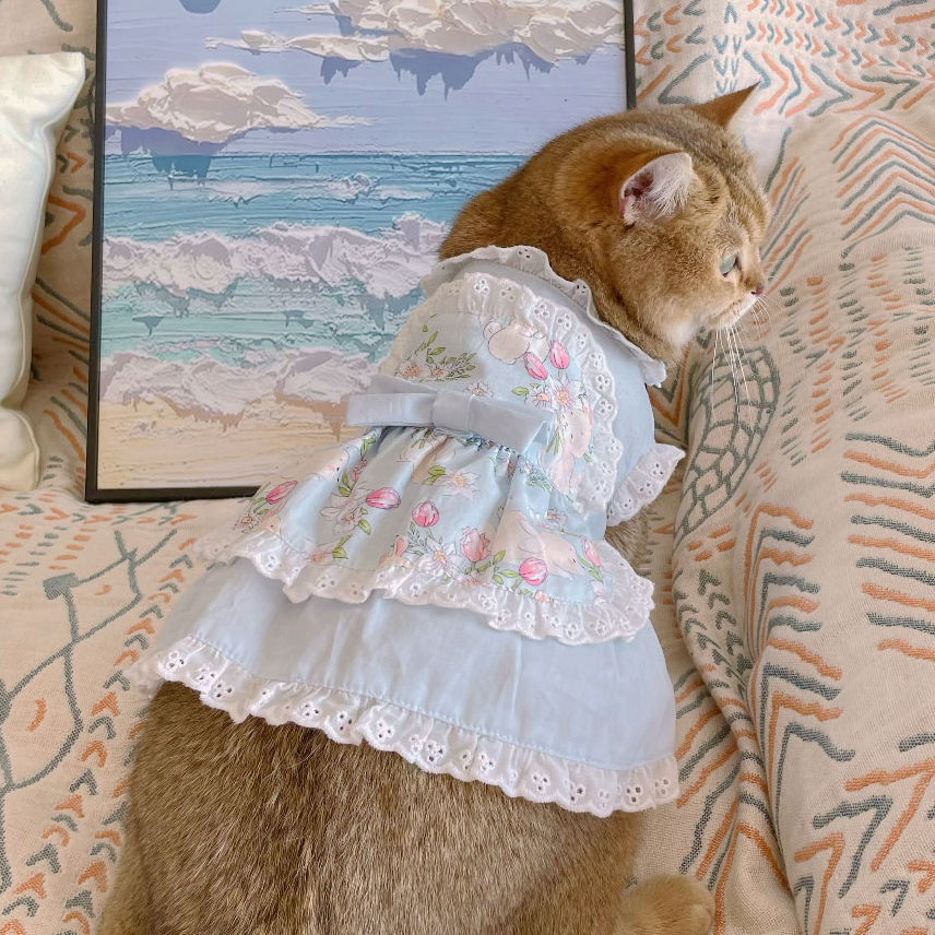 Floral Lace Maid Dress for Cats & Dogs