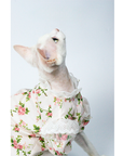 Floral Dress With Lace for Cats Cute Outfit