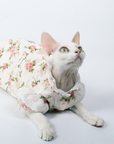 Floral Dress With Lace for Cats Cute Outfit