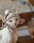 Fleece Aviator Hat for Sphynx & Devon Rex Cats - Ear-Out Winter Cap