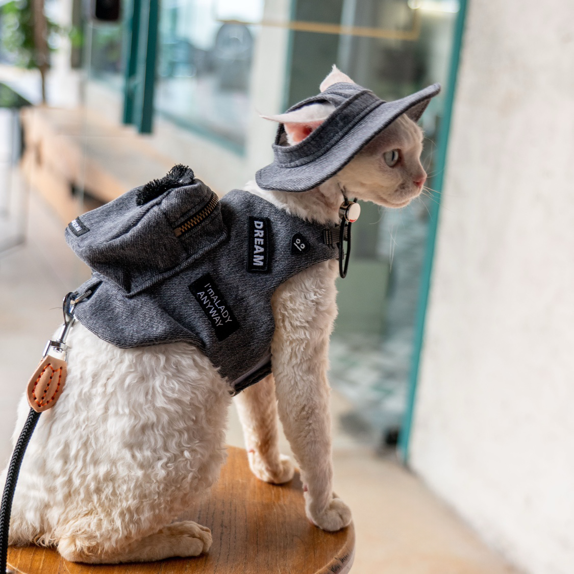 Black Denim Backpack Harness & Leash & Hat Set – Soot Sprite Edition