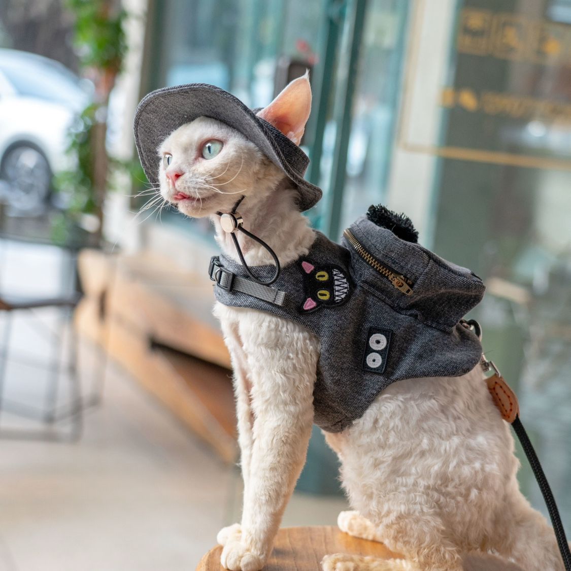 Black Denim Backpack Harness & Leash & Hat Set – Soot Sprite Edition
