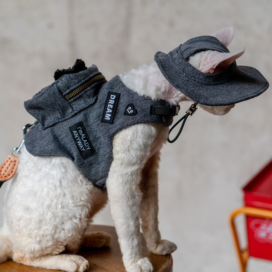 Black Denim Backpack Harness & Leash & Hat Set – Soot Sprite Edition