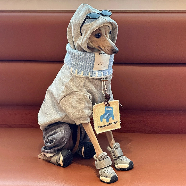 Gray Hoodie & Blue Bandana Set for Greyhounds & Whippets