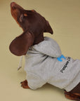 Whippet & Greyhound Hoodie Set – Gray Fleece with Bandana