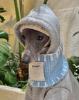Whippet & Greyhound Hoodie Set – Gray Fleece with Bandana