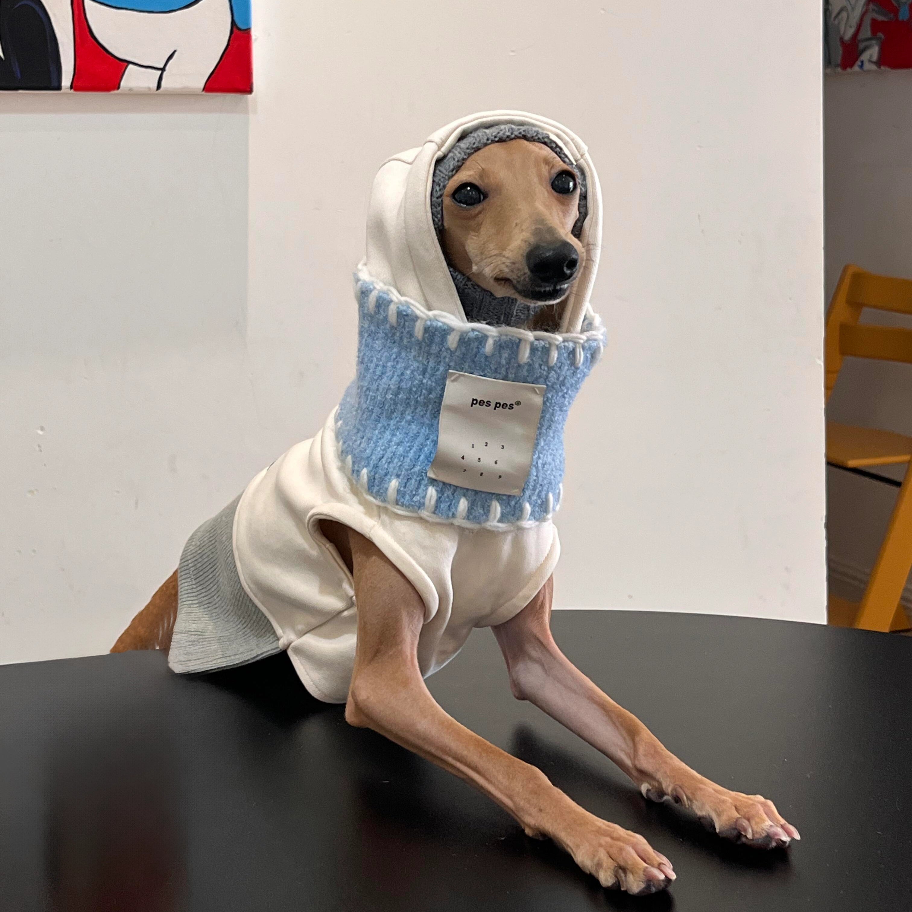 Gray Hoodie & Blue Bandana Set for Greyhounds & Whippets