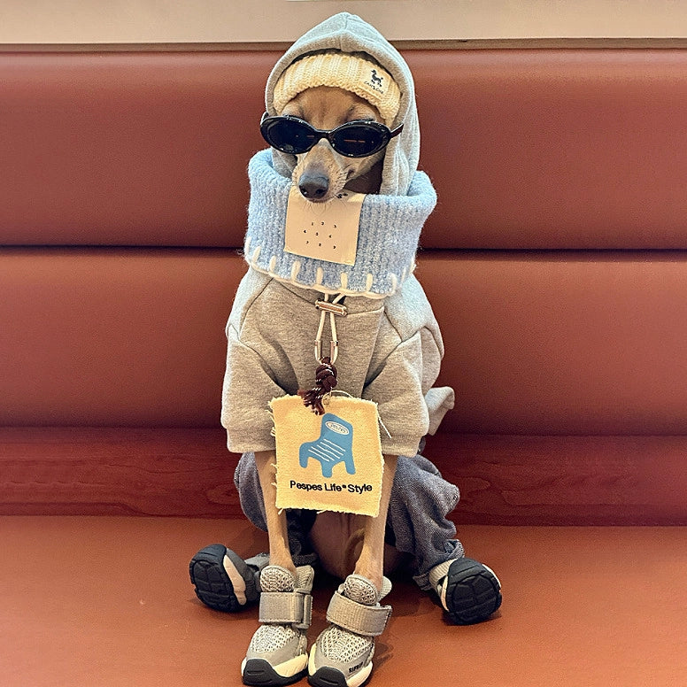 Gray Hoodie & Blue Bandana Set for Greyhounds & Whippets