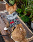 Cat Hoodie Harness & Leash Set – Check Pattern with Hat